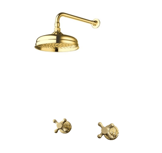 BTS10 Classic wall mounted shower hot & cold taps