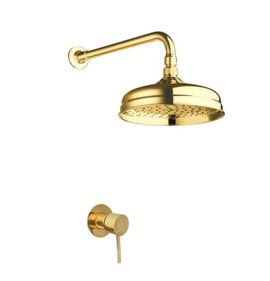 BTS6 Classic wall mounted shower with mixer