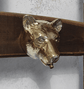 A Francone BT90 solid brass bear-head wall mounted tap, a decorative handcrafted animal faucet for luxury bathrooms.