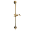 Francone BTS25 unlacquered brass sliding shower rail featuring a traditional cross-head handle.