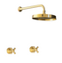 Francone BTS35 traditional wall-mounted unlacquered brass shower head and cross handles.