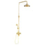 Traditional Francone BTS42 unlacquered brass exposed thermostatic column shower with an integrated hand shower.