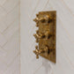 Francone BTS53 unlacquered brass traditional thermostatic shower control plate installed on tiled bathroom wall.